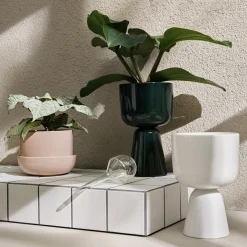 Iittala kastelupullo 2set