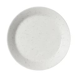 Lautanen 21cm uudelleenhyödynnetty keramiikka